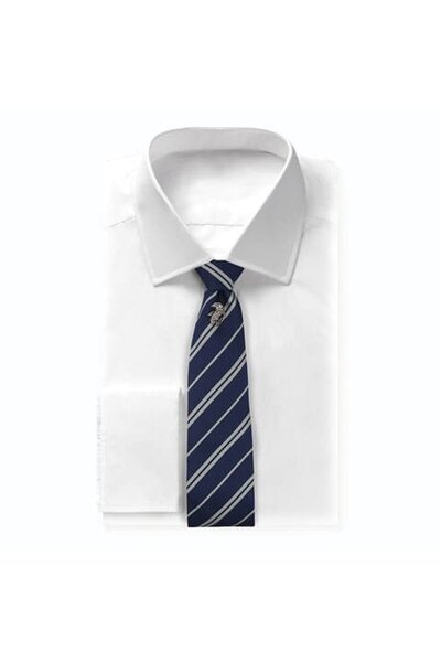 Harry Potter: Deluxe Corbe, Ravenclaw - Celtic Webmerchant
