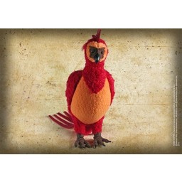 Harry Potter: Felix le Phoenix, peluche, grand - Celtic Webmerchant