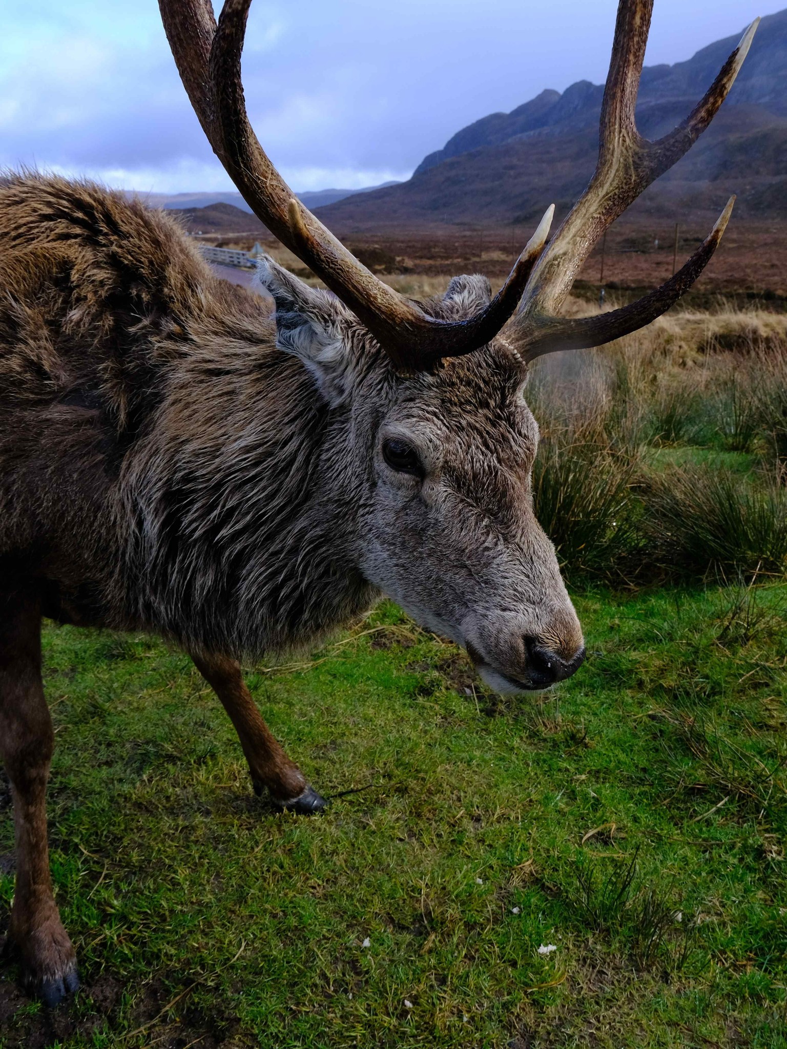 Duurzaamheid bij Celtic WebMerchant en de Tribe