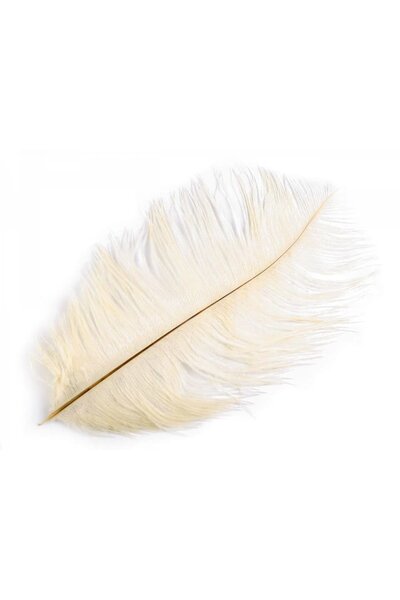 Creme veer, 20-25 cm - Celtic Webmerchant