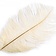 Feather de crema, 20-25 cm - Celtic Webmerchant