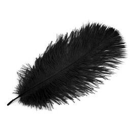 Black feather, 20-25 cm - Celtic Webmerchant