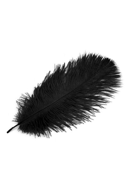 Piuma nera, 20-25 cm - Celtic Webmerchant