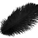 Black feather, 20-25 cm - Celtic Webmerchant