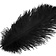 Sort fjer, 20-25 cm - Celtic Webmerchant