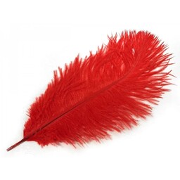 Pluma roja, 20-25 cm - Celtic Webmerchant