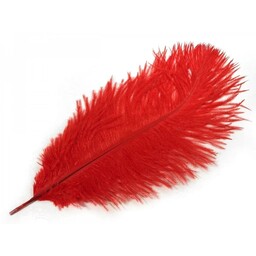 Red feather, 20-25 cm - Celtic Webmerchant