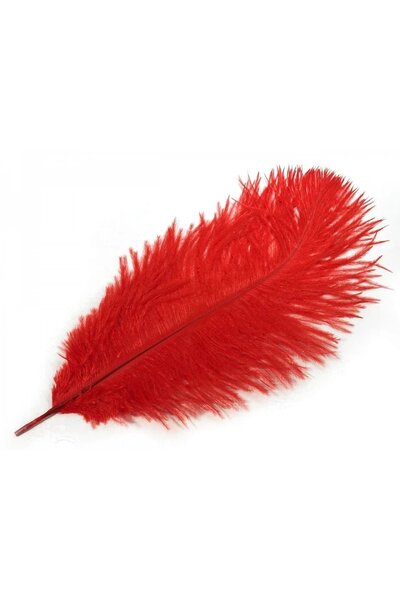 Red feather, 20-25 cm - Celtic Webmerchant
