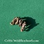 Dragón beardbead bronce - Celtic Webmerchant