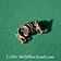 Drachenbart Perle Bronze - Celtic Webmerchant
