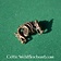 Dragon beard bead bronze - Celtic Webmerchant