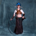 Battle for Vilegis - Celtic Webmerchant