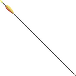 Fiberglass arrow 28