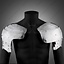 Pauldrons alemán 1460-1500 - Celtic Webmerchant