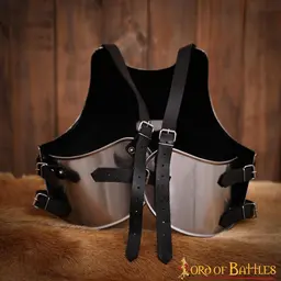 Cuirasse médiévale LARP Paladin - Celtic Webmerchant