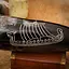 Viking drinking horn drakar - Celtic Webmerchant