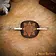 Lord of Battles Leather hairpin with Celtic knots - Celtic Webmerchant