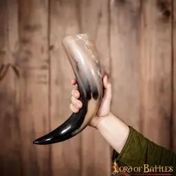 Natural drinking horn 650-1000 ml - Celtic Webmerchant