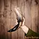 Lord of Battles Natural drinking horn 650-1000 ml - Celtic Webmerchant