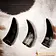 Lord of Battles Drinking horn set 100ml - Celtic Webmerchant