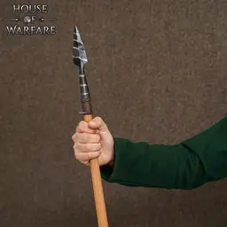 Grot Wikingów - Celtic Webmerchant