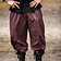 Leonardo Carbone Trzy czwarte spodnie, ciemny brąz - Celtic Webmerchant