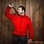 Gambeson del XV secolo, rosso - Celtic Webmerchant