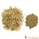 Lord of Battles 1 kg brass chainmail rings, flat rings, round rivets, 9 mm - Celtic Webmerchant