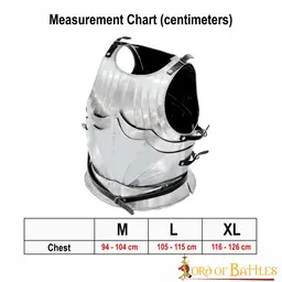 15th century Gothic cuirass - Celtic Webmerchant