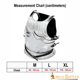 Coraza gótica del siglo XV - Celtic Webmerchant
