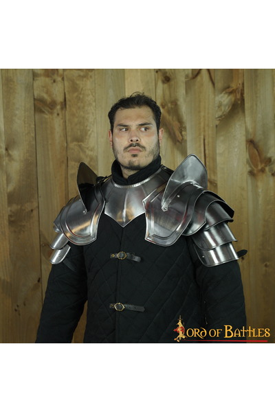 Spallacci Paladino - Celtic Webmerchant