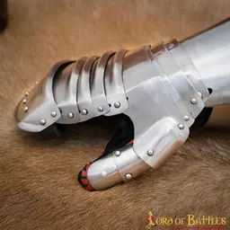 Rękawiczki Maksymiliana - Celtic Webmerchant