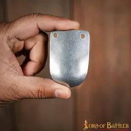 Skorupa pancerza wczesnego średniowiecza, 100x - Celtic Webmerchant