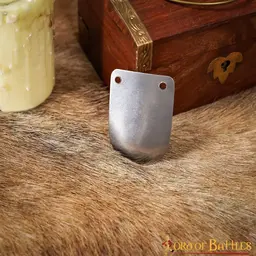 Skorupa pancerza wczesnego średniowiecza, 100x - Celtic Webmerchant