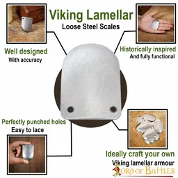 Skorupa pancerza wczesnego średniowiecza, 100x - Celtic Webmerchant