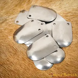 Skorupa pancerza wczesnego średniowiecza, 100x - Celtic Webmerchant