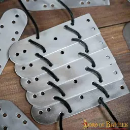 Skorupa pancerza germańska, bizantyjska, 100x - Celtic Webmerchant