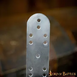 Skorupa pancerza germańska, bizantyjska, 100x - Celtic Webmerchant