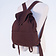 Burgschneider Backpack Capsus, brown - Celtic Webmerchant