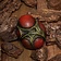 Rawblade Eldritch Egg - Green/Red - Celtic Webmerchant