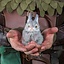 Pouch with rabbit Roger - Green - Celtic Webmerchant
