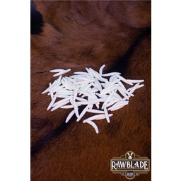 Magiska komponenter - Maggots - Celtic Webmerchant