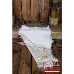 Piel de conejo - Blanco - Celtic Webmerchant