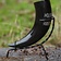 Epic Armoury Drinking horn Druid 0,5L, light - Celtic Webmerchant