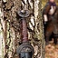 LARP Battleworn Celtic Schwert - Celtic Webmerchant