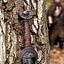 LARP Battleworn Celtic sværd - Celtic Webmerchant
