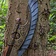 Epic Armoury LARP ax elven vinge - Celtic Webmerchant