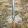 Epic Armoury LARP elven sword 60 cm - Celtic Webmerchant