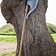 Epic Armoury LARP long elven axe - Celtic Webmerchant