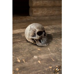 LARP skull - Celtic Webmerchant